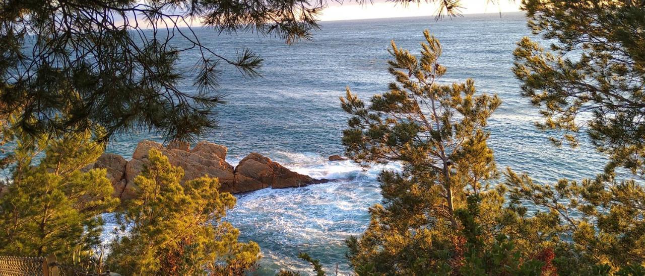 Le Paradis Bleu Calanque De Figuieres, Paddle Et Veranda Ensues-la-Redonne Zewnętrze zdjęcie